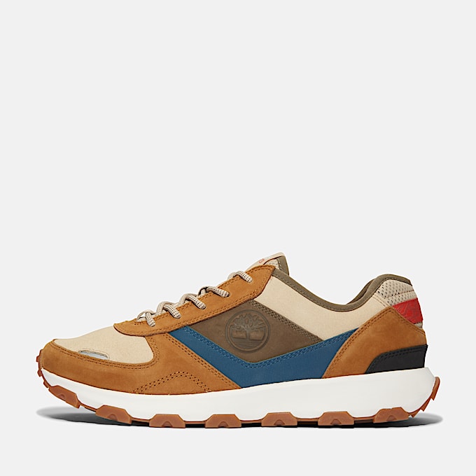 Winsor Park Low Lace Up Trainer for Men in Brown