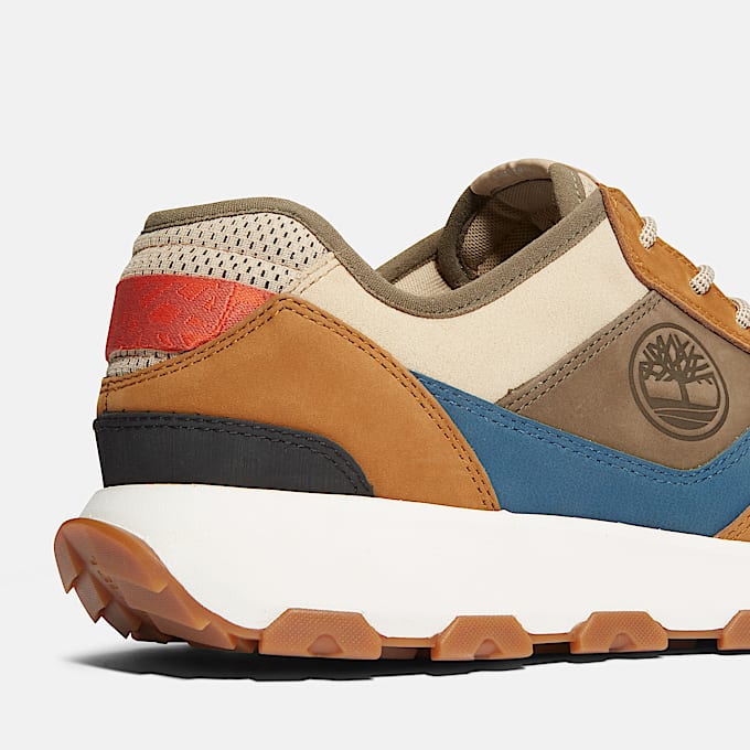 Winsor Park Low Lace Up Trainer for Men in Brown