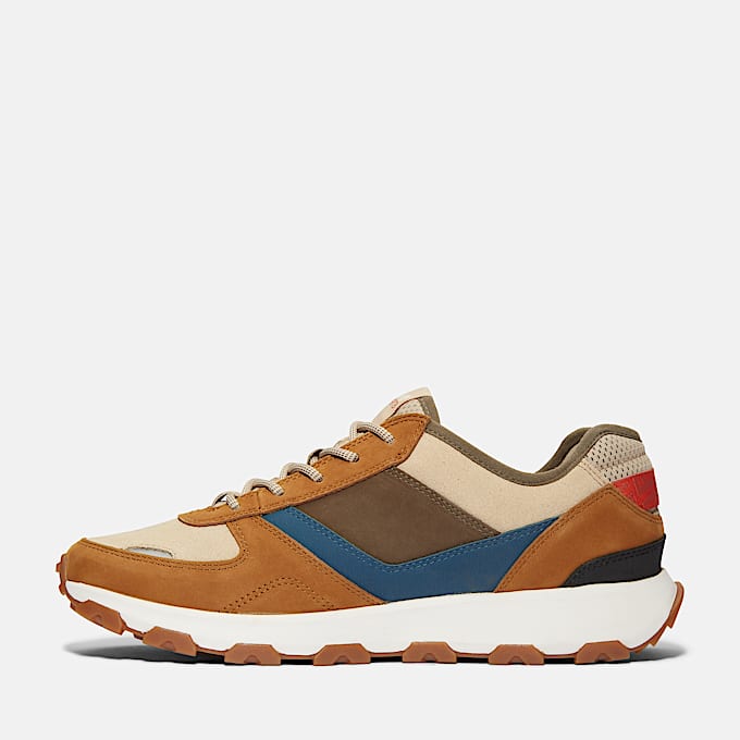 Winsor Park Low Lace Up Trainer for Men in Brown