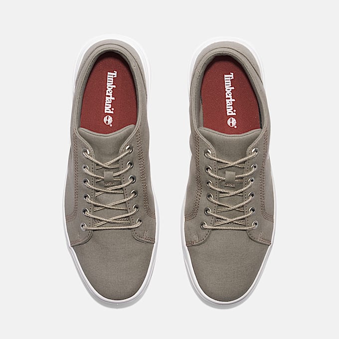 Sneaker Bassa Stringata Seneca Bay da Uomo in beige chiaro