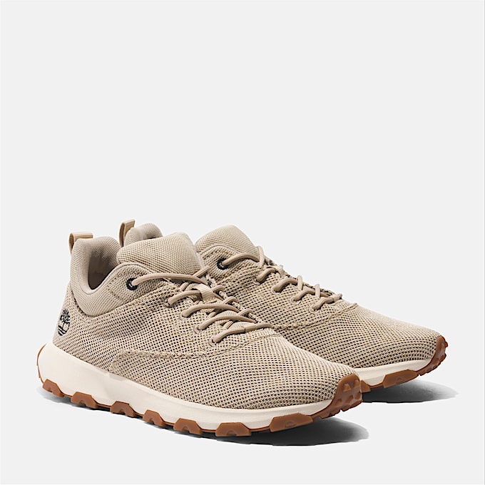 Sneaker Bassa Stringata Winsor Park da Uomo in beige