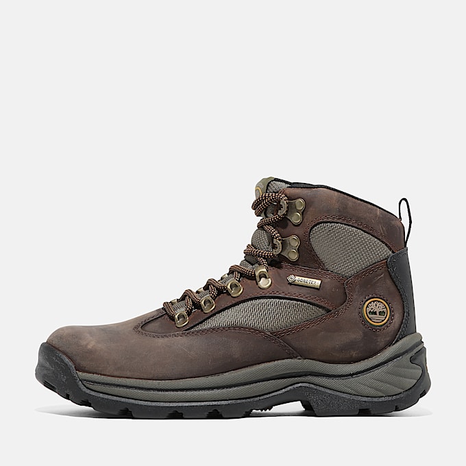 Chocorua Hiking Boot with GORE-TEX membrane for Women in Dark Brown