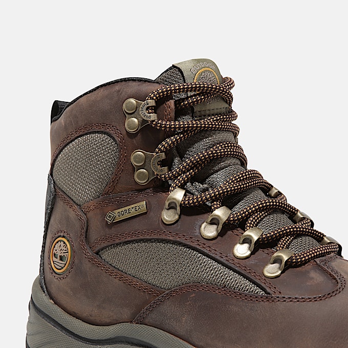 Chocorua Hiking Boot with GORE-TEX membrane for Women in Dark Brown