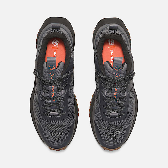 Sneaker Bassa Stringata Motion Access da Uomo in grigio