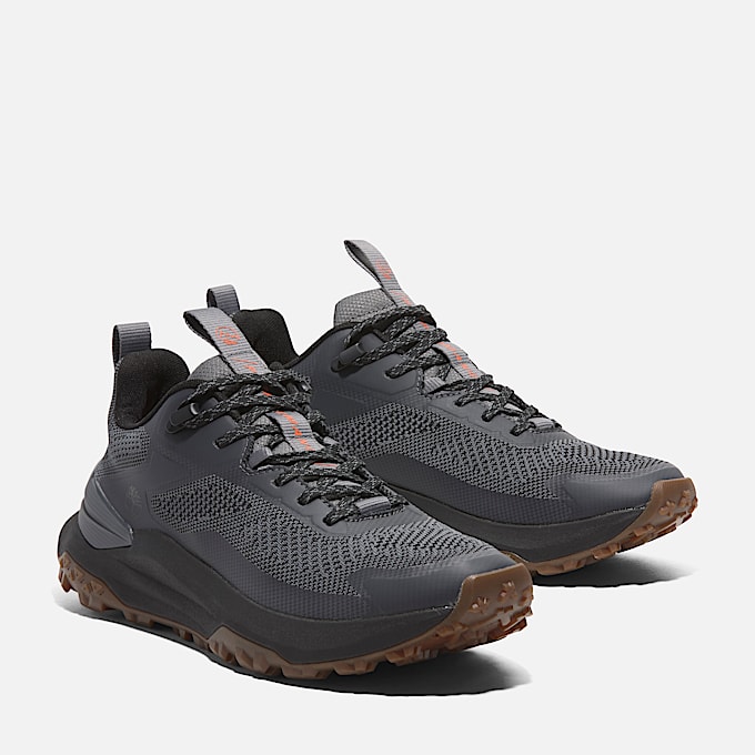 Sneaker Bassa Stringata Motion Access da Uomo in grigio
