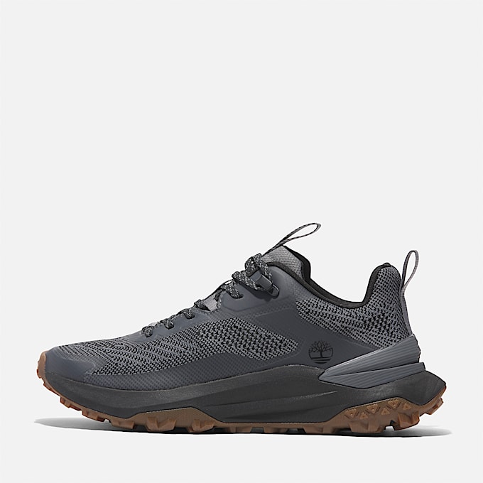 Sneaker Bassa Stringata Motion Access da Uomo in grigio