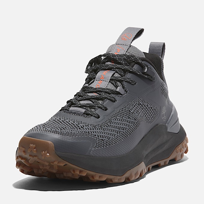 Sneaker Bassa Stringata Motion Access da Uomo in grigio
