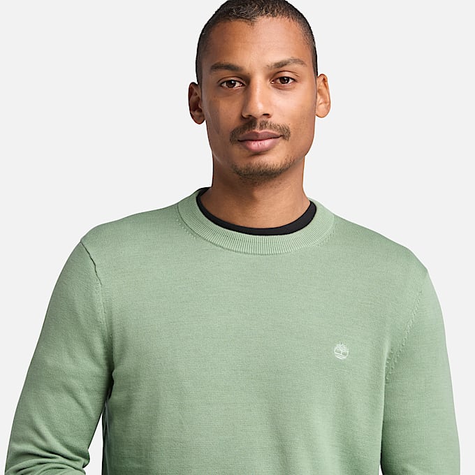 Maglione in Cotone Tinto in Filo Williams River da Uomo in verde
