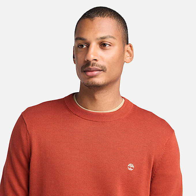 Maglione in Cotone Tinto in Filo Williams River da Uomo in rosso