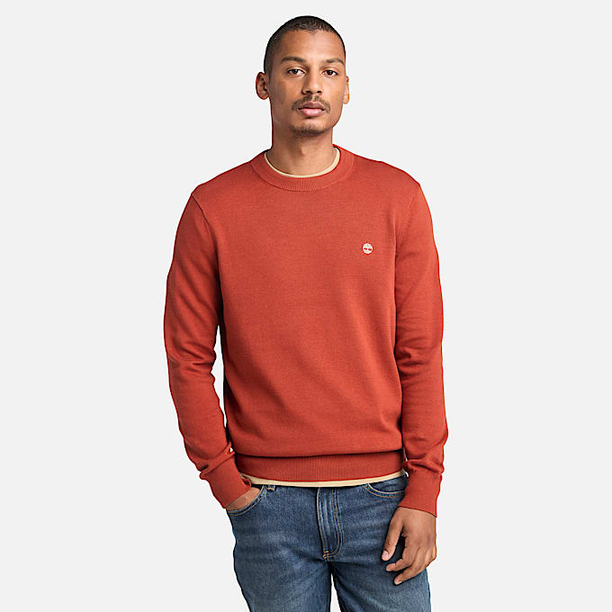 Williams River Cotton Yarn Dyed Jumper for Men in Red - 1