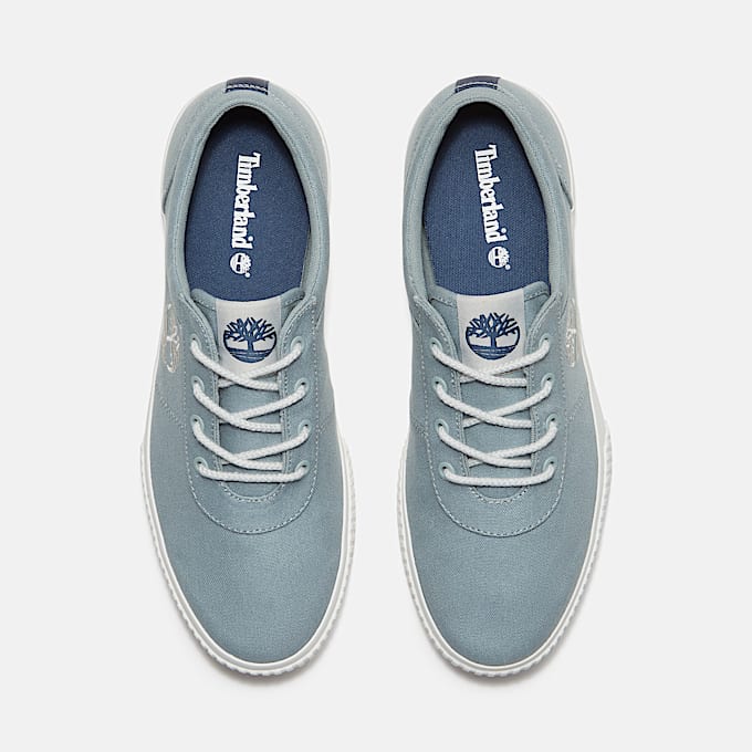 Mylo Bay Low Lace Up Trainer for Men in Blue