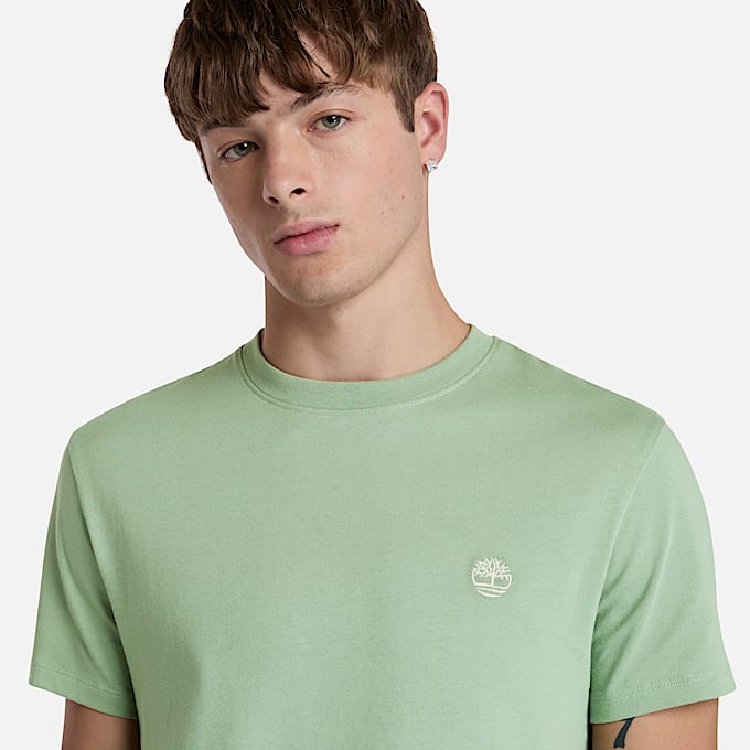T-shirt Dunstan River da Uomo in verde