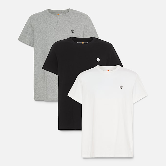 3-pack Dunstan River T-shirt voor heren in Veelkleurig