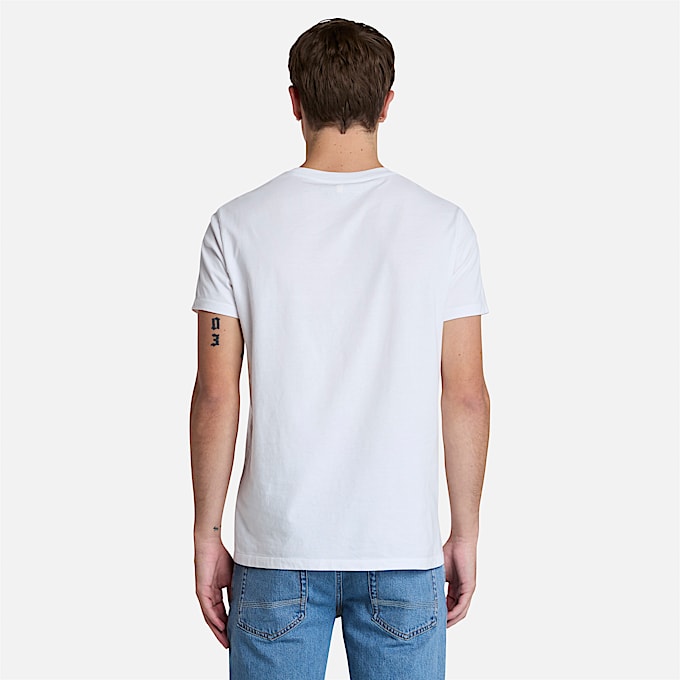 3-pack Dunstan River T-shirt voor heren in Veelkleurig