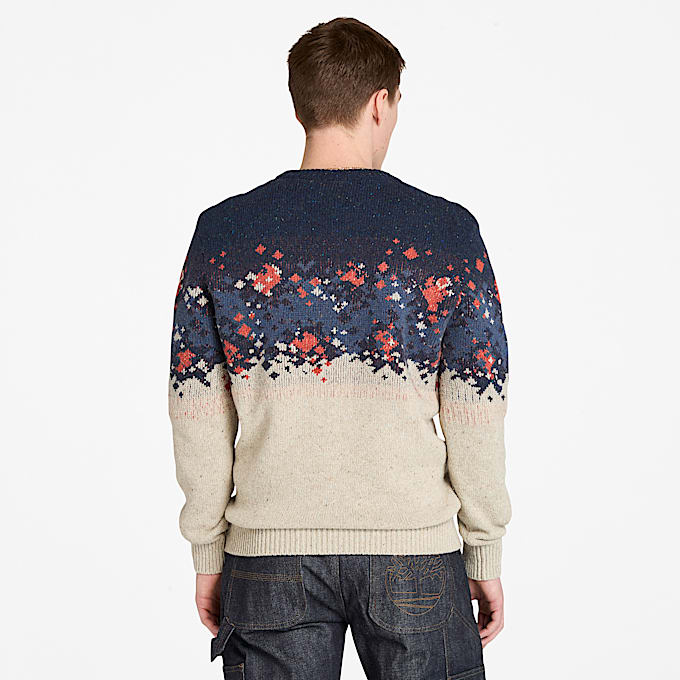 Fair Isle Jumper for Men in Beige