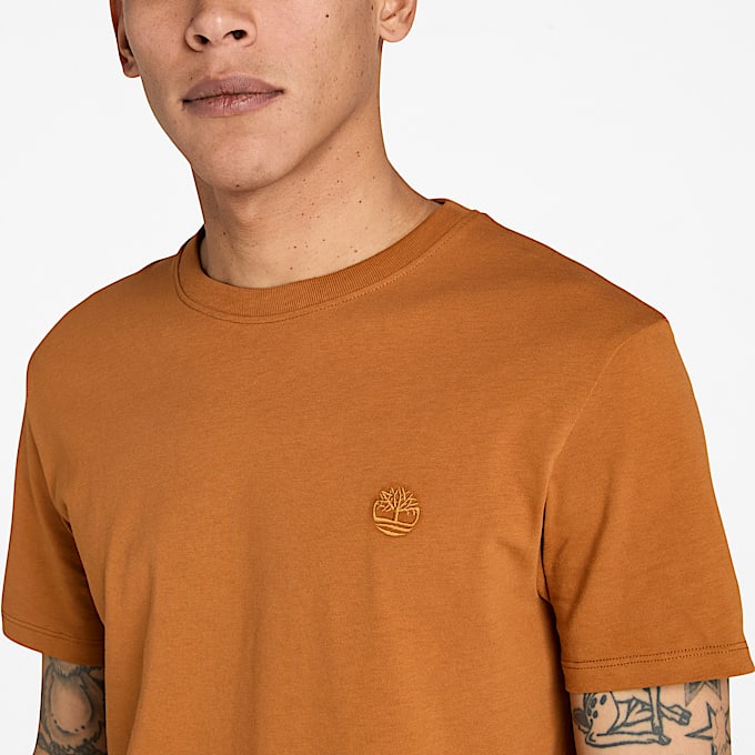 Dunstan River Short-Sleeve T-Shirt for Men in Brown
