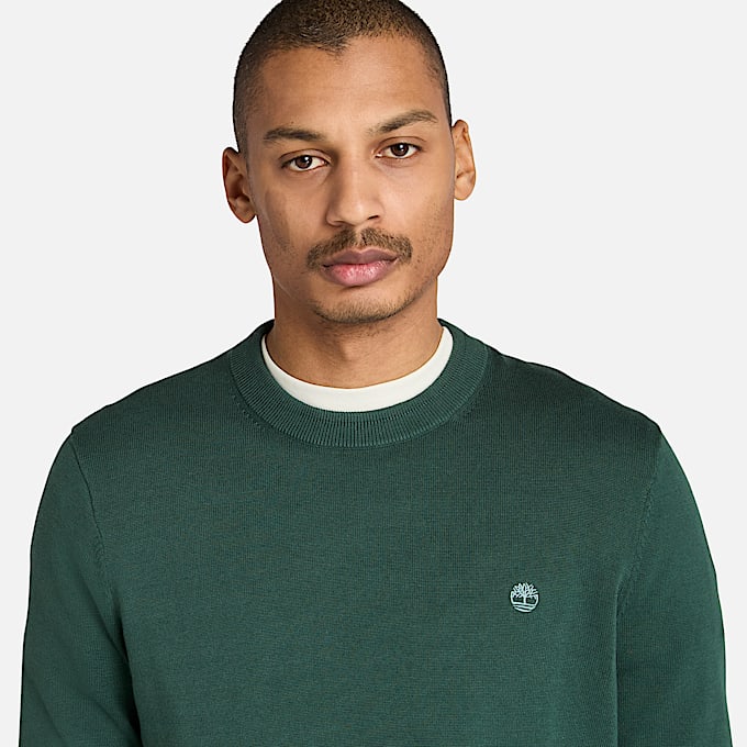 Pull en coton Williams River pour homme en vert foncé