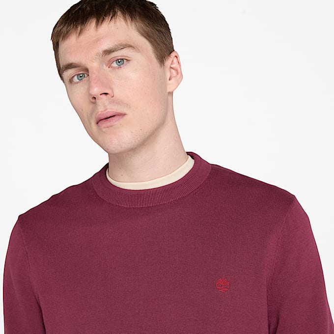 Pull en coton Williams River pour homme en bordeaux