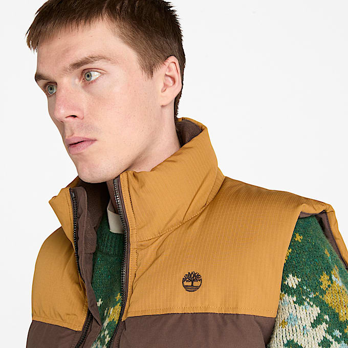 Colete Acolchoado Hidrorrepelente Duradouro Welch Mountain para Homem em castanho