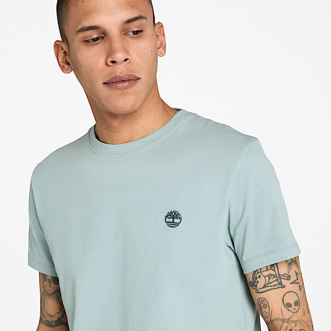 Dunstan River Kurzarm-T-Shirt für Herren in Grau