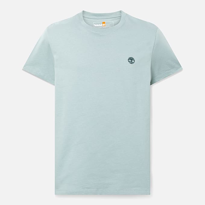 Dunstan River Kurzarm-T-Shirt für Herren in Grau