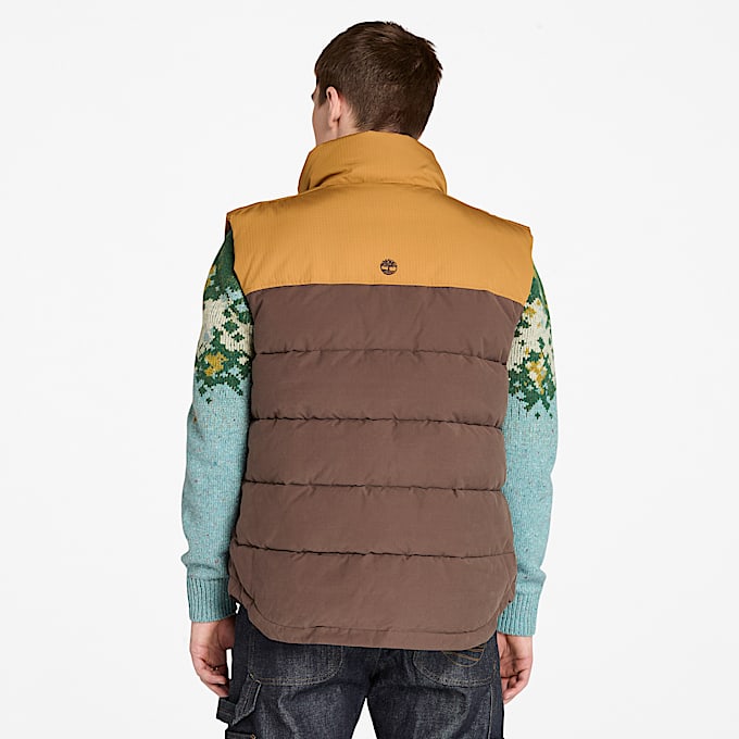 Colete Acolchoado Hidrorrepelente Duradouro Welch Mountain para Homem em castanho