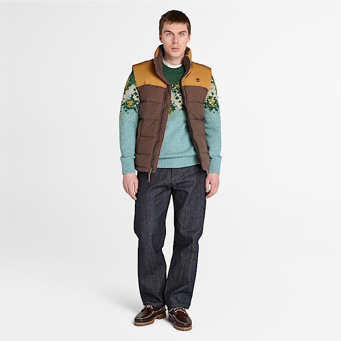 Colete Acolchoado Hidrorrepelente Duradouro Welch Mountain para Homem em castanho