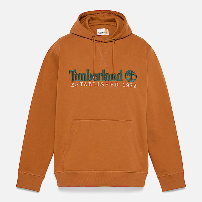 Hoodie van loopbacktricot met geborduurd 'Established 1973'-logo voor heren in bruin - 1