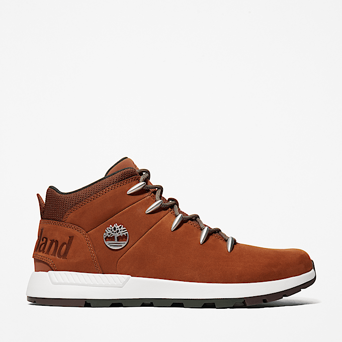 Chaussures Hommes Chaussures Casual Chic Timberland