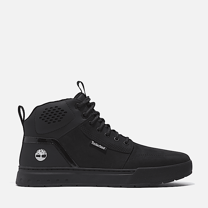 Sneakers Collection Timberland UK