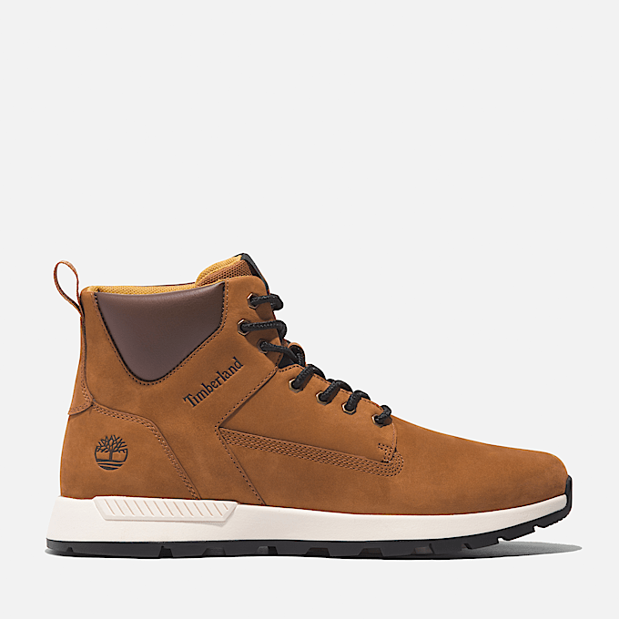 Trainers Men Timberland