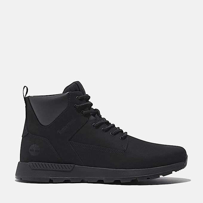 Trainers Men Timberland