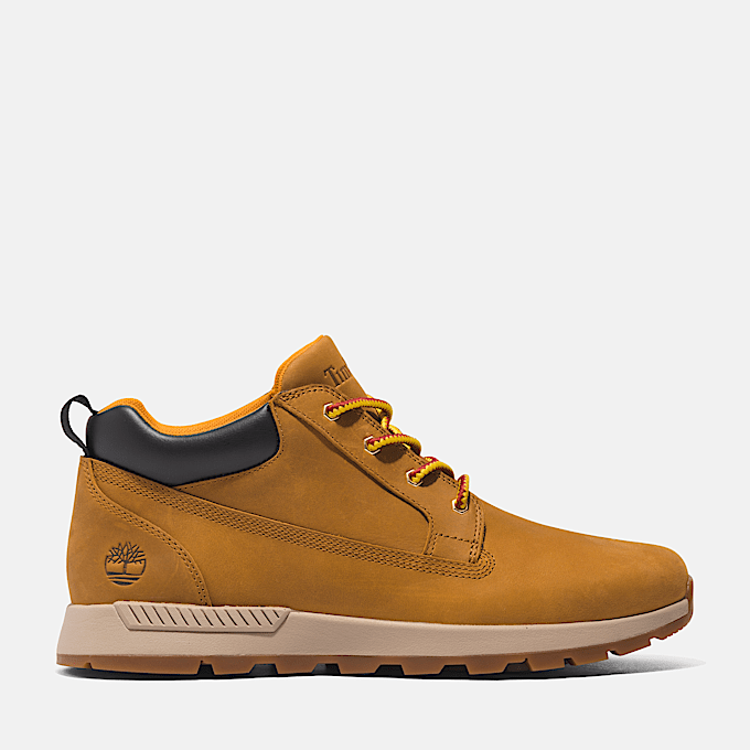 Timberland basse uomo hotsell