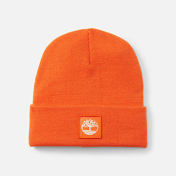 Beanies et Chapeaux Timberland LU