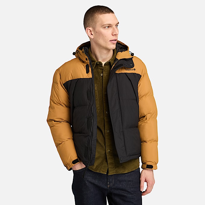 Giacche e Giubbotti Timberland CH