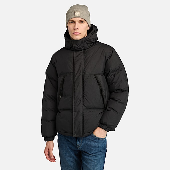 Coats Jackets Men Timberland