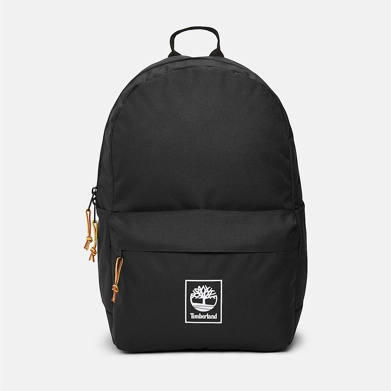Thayer 22-Litre Backpack in Black