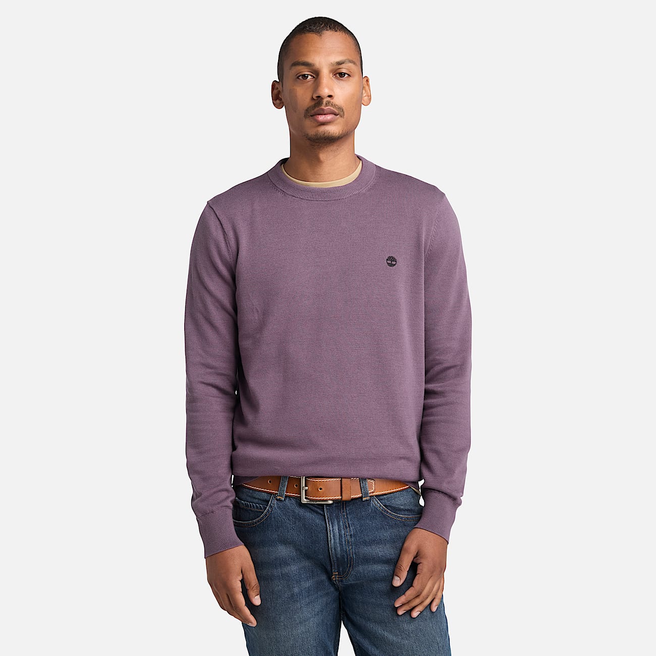 Williams River Cotton Yarn Dyed Jumper for Men in Purple - 1