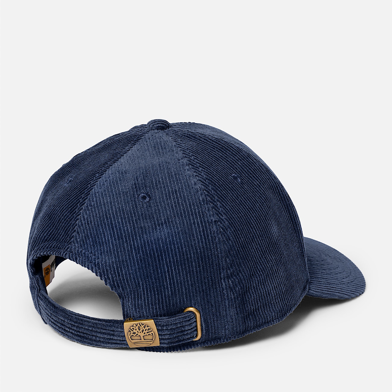 Corduroy Baseball Cap for Men in Dark Blue TBL Blue ALT1