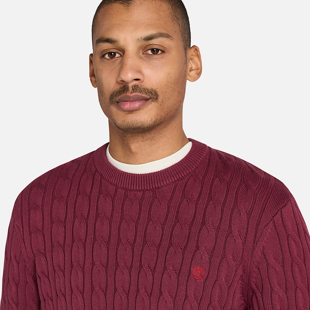 Williams River Crewneck Cableknit Jumper for Men in Burgundy TBL Burgundy ALT2