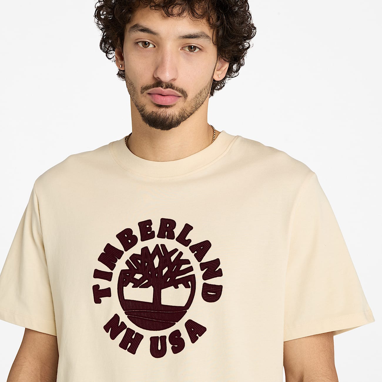 Holiday Front Graphic Short-Sleeve T-Shirt for Men in Beige - 3