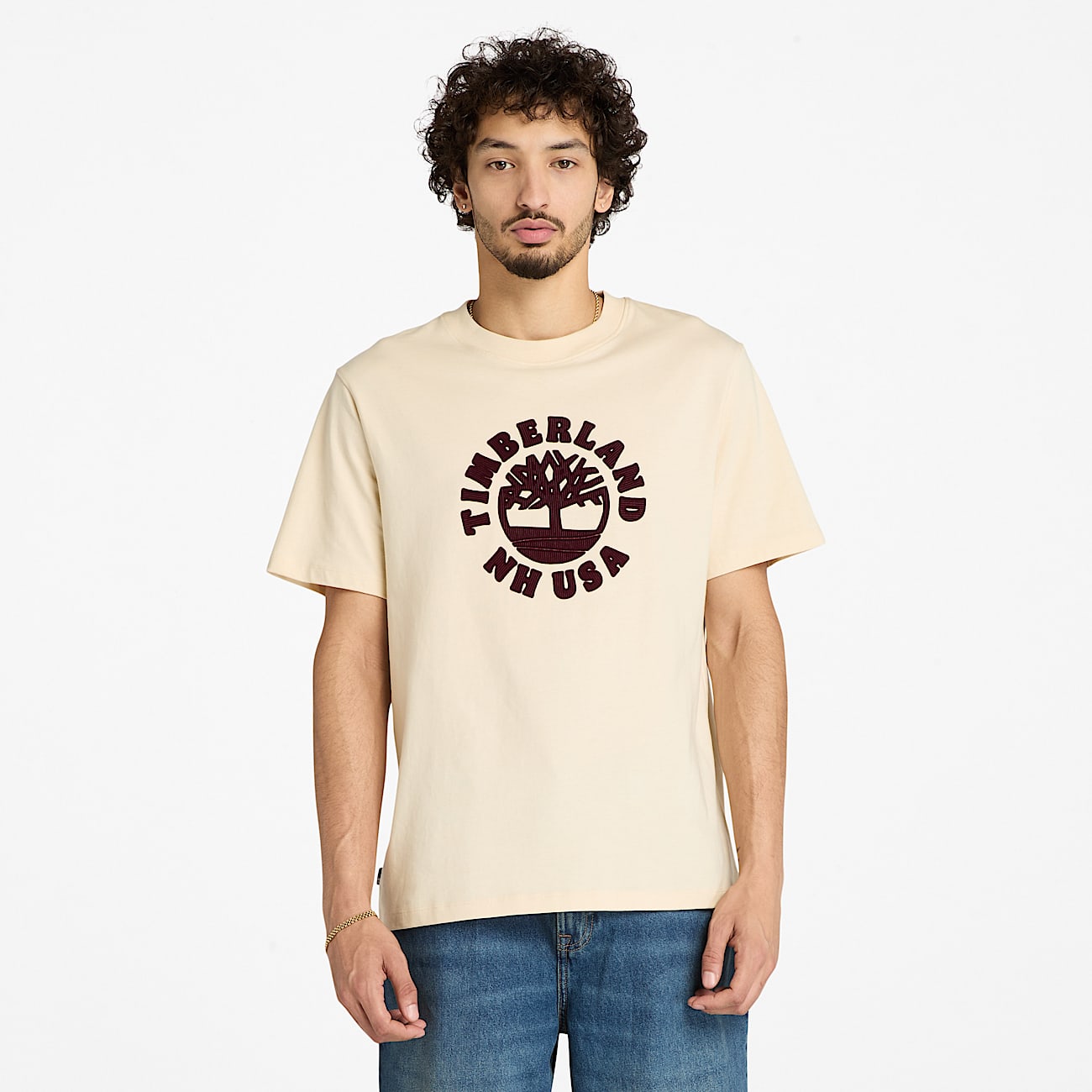 Holiday Front Graphic Short-Sleeve T-Shirt for Men in Beige - 1