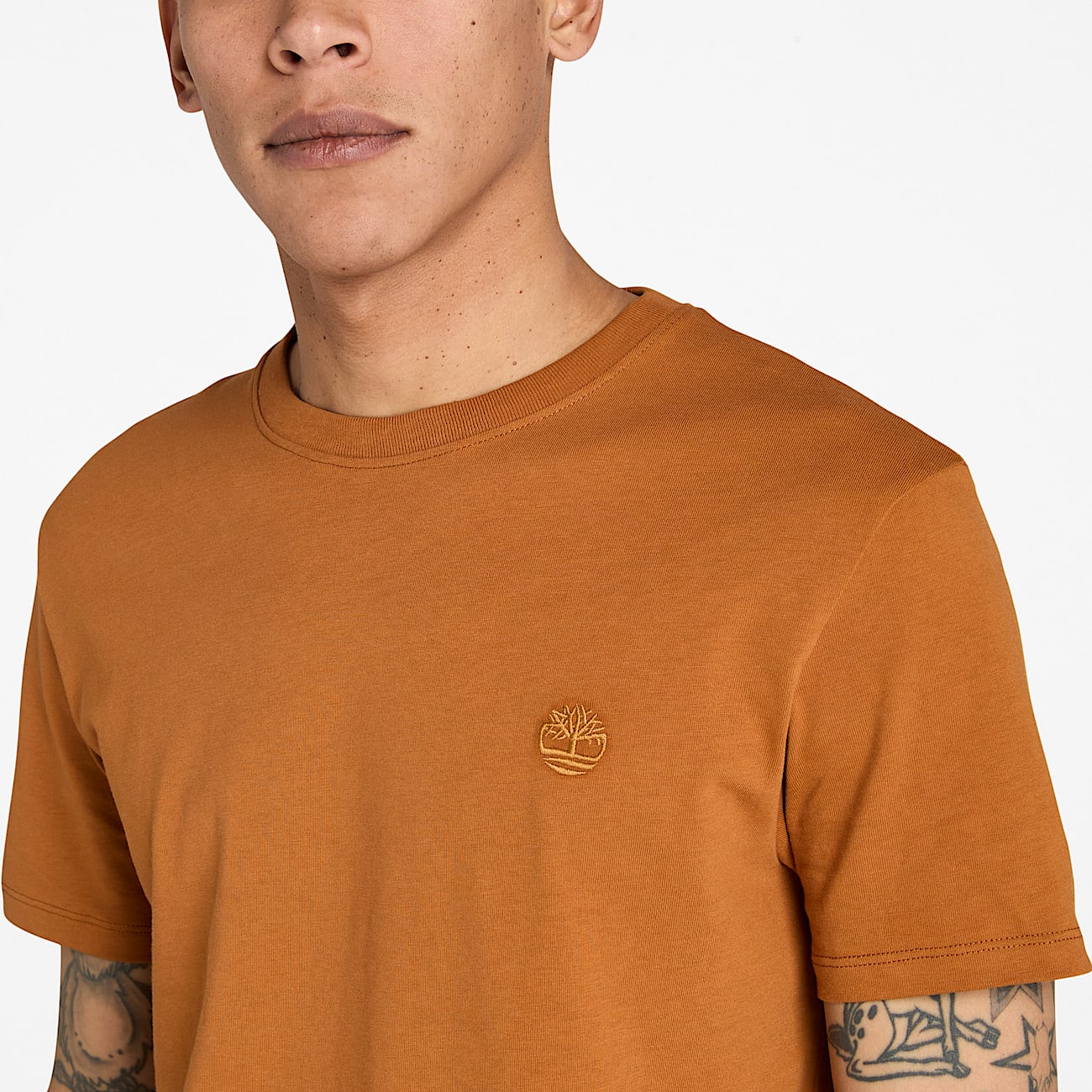 Dunstan River ShortSleeve TShirt for Men in Brown TBL Brown ALT2