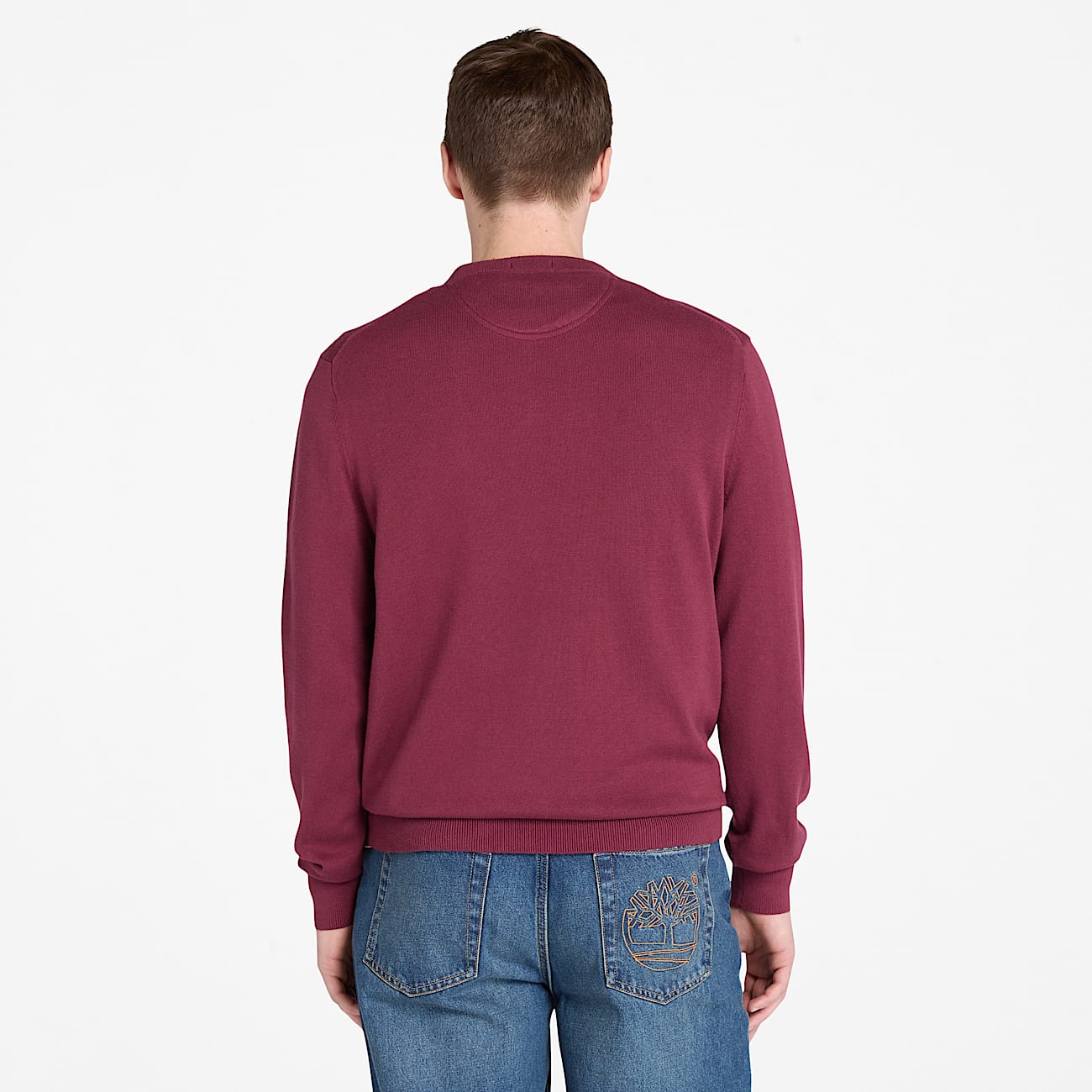 Williams River Cotton Jumper for Men in Burgundy TBL Burgundy ALT9