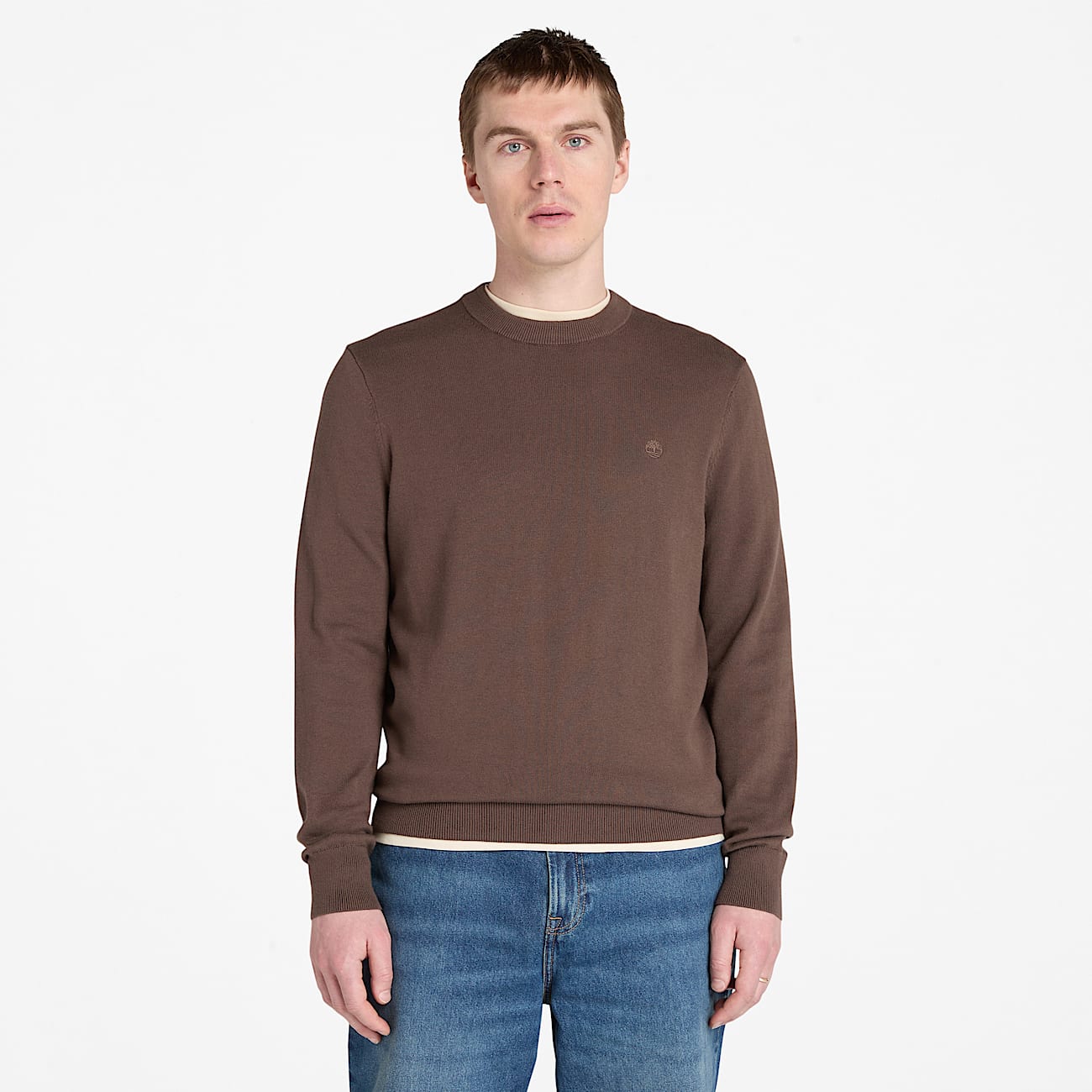 Williams River Cotton Jumper for Men in Brown