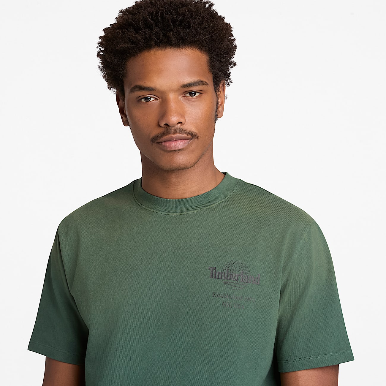 Sunfaded Heavyweight TShirt mit BaumLogo und Grafik fr Herren in Dunkelgrn TBL Grn ALT3