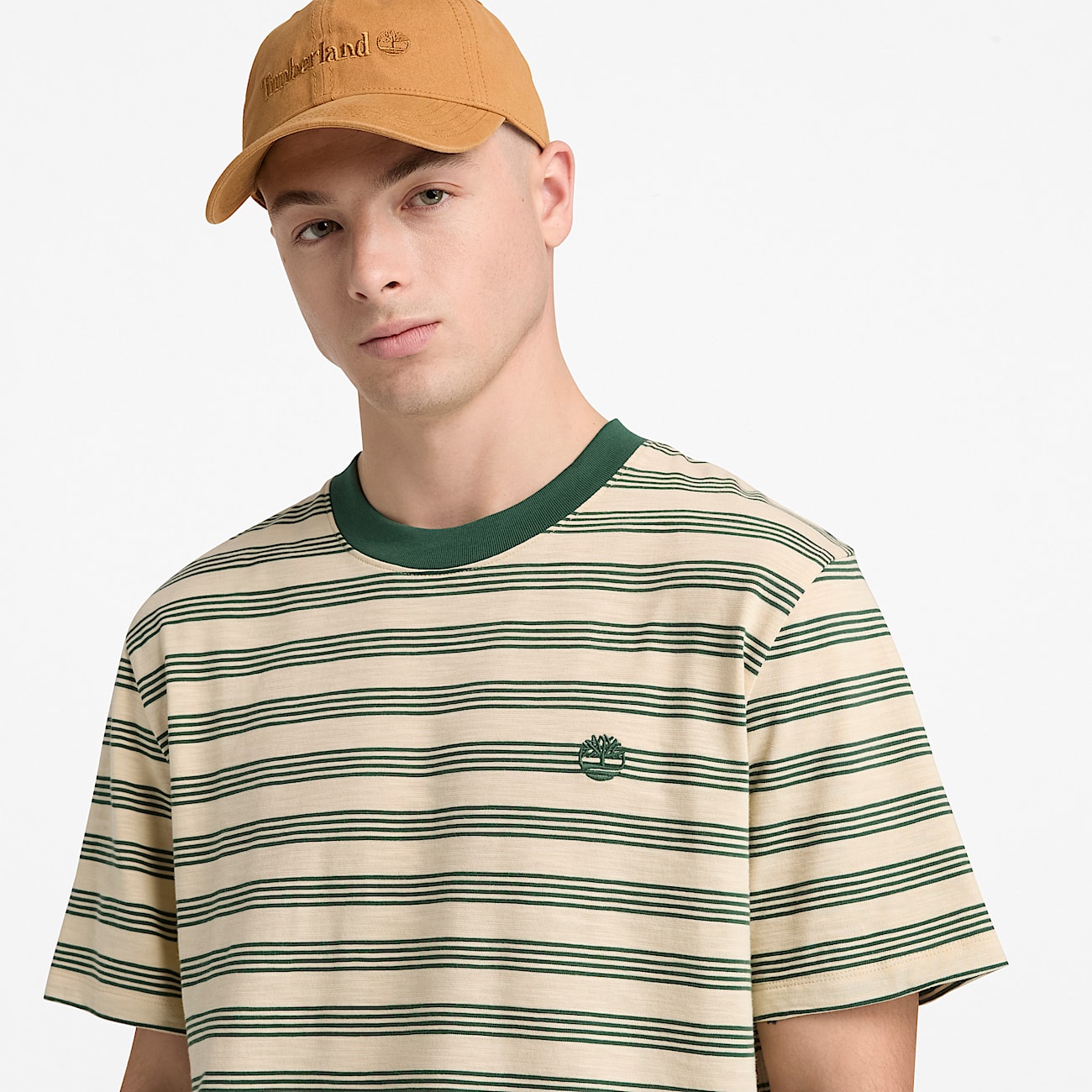 Striped ShortSleeve TShirt for Men in BeigeDark Green TBL Beige ALT3
