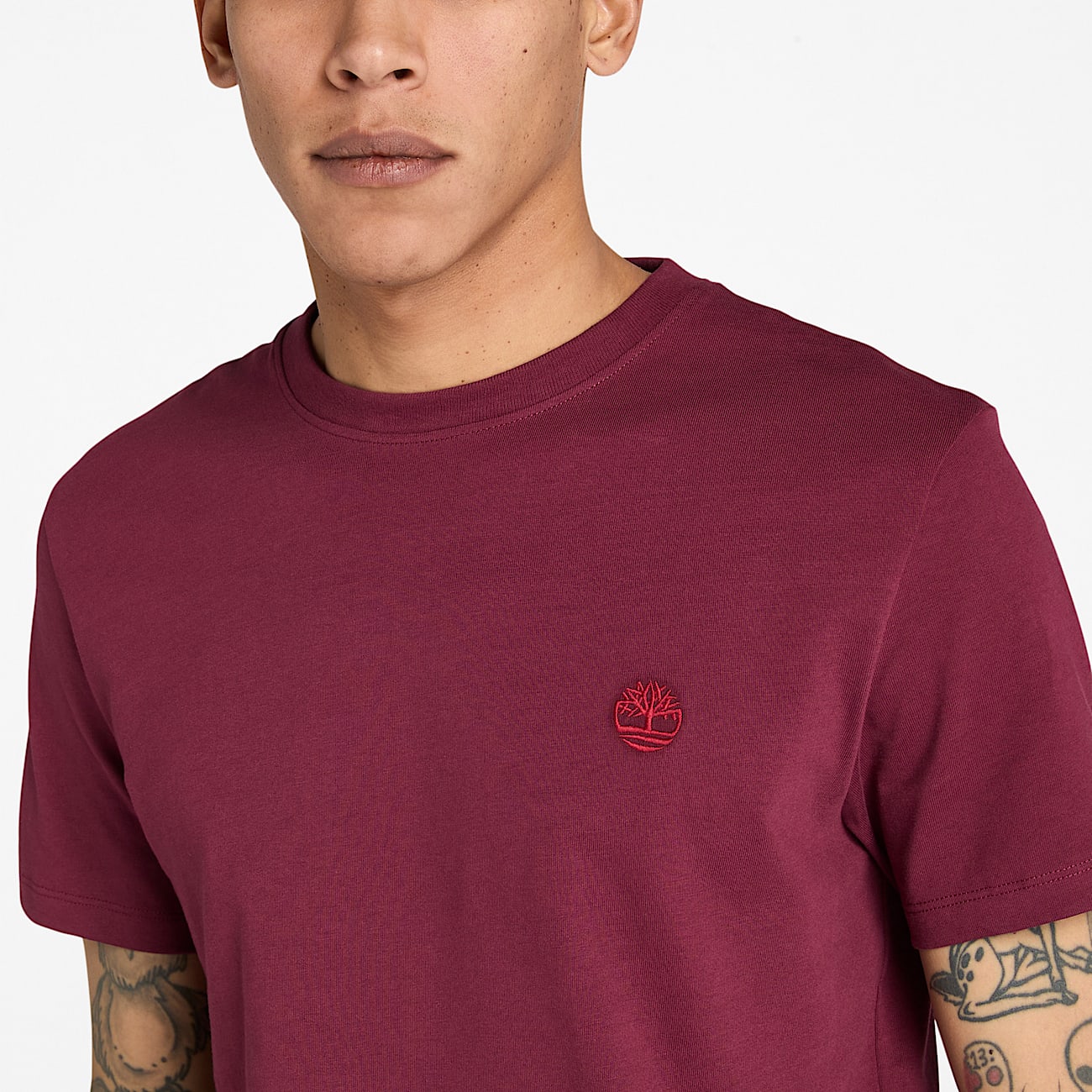 Dunstan River ShortSleeve TShirt for Men in Burgundy TBL Burgundy ALT3
