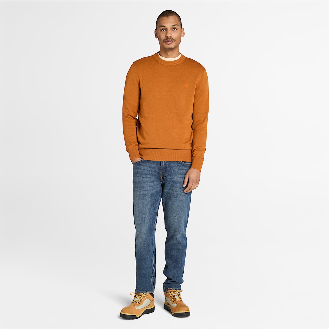 Williams River Cotton Jumper for Men in Brown TBL Brown ALT2