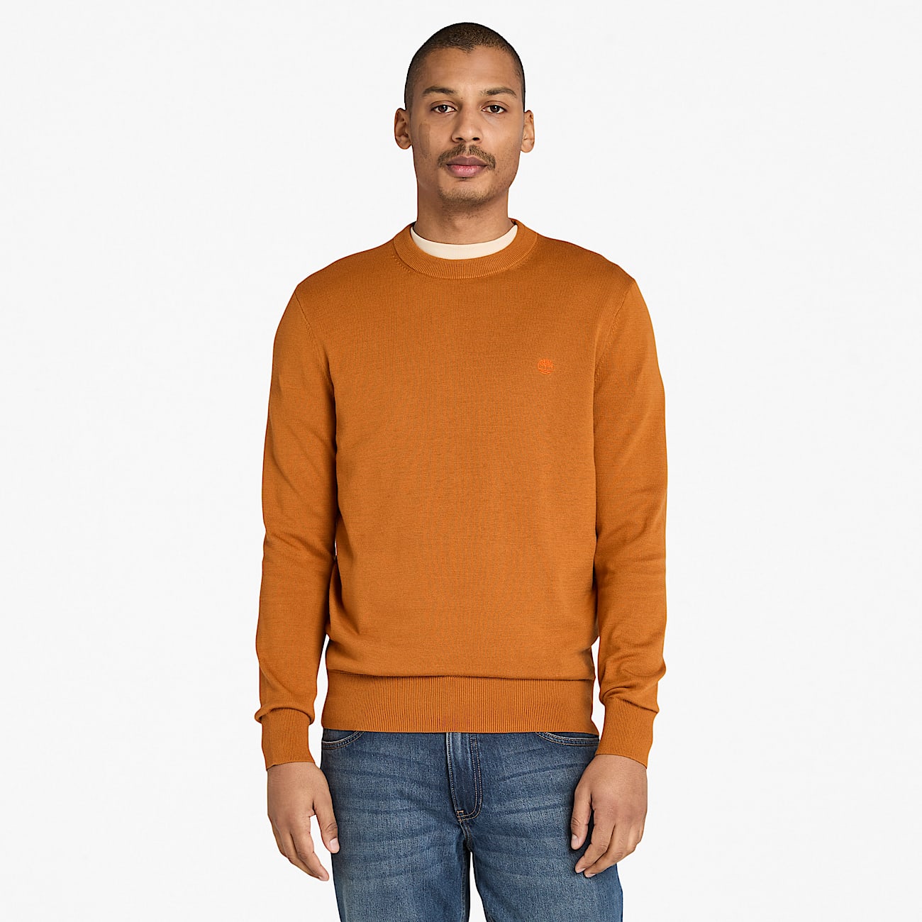 Williams River Cotton Jumper for Men in Brown TBL Brown ALT1